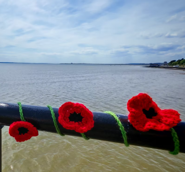 PoppiesOnThePier